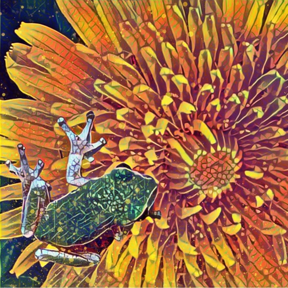 Meet your Posher, Holly - Picture 1 of 7